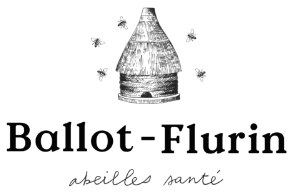 Ballot-Flurin