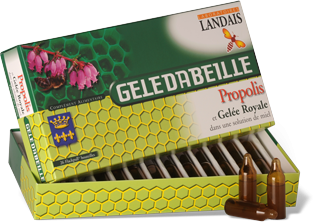 Gelée Royale mit Propolis Trinkampullen